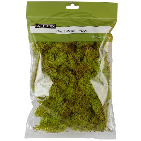 Find Reindeer Moss by Ashland® at Michaels